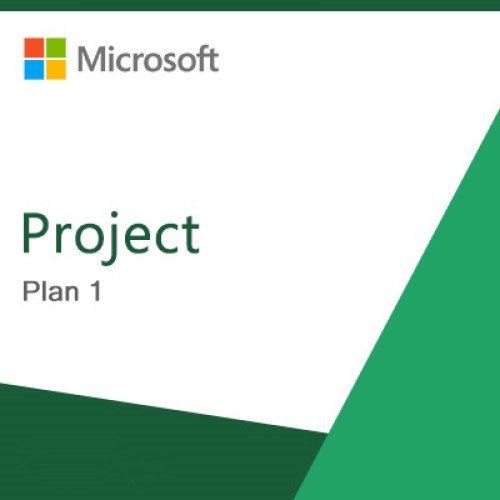 Project Plan 1